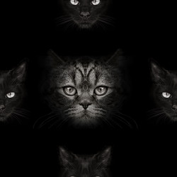 Similar image 21026556