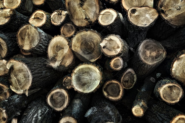 Similar image 21026557