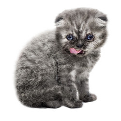 Similar image 21026594