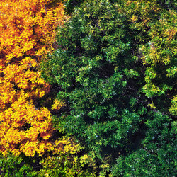 Similar image 21026640