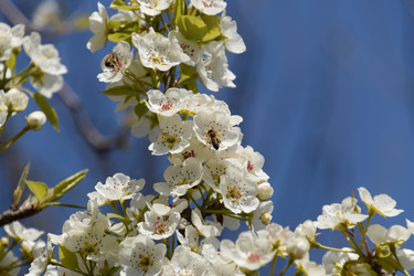 Similar image 21049105