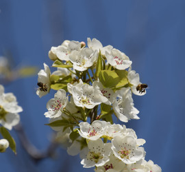 Similar image 21049106