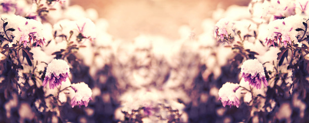 Similar image 21025880