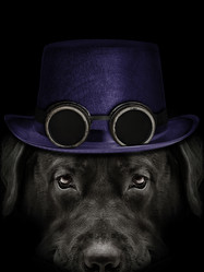 Similar image 21026088