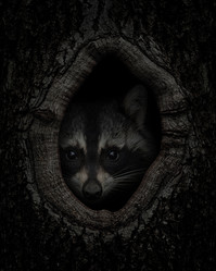 Similar image 21026094