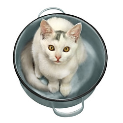 Similar image 21026097