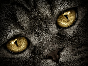 Similar image 21026103