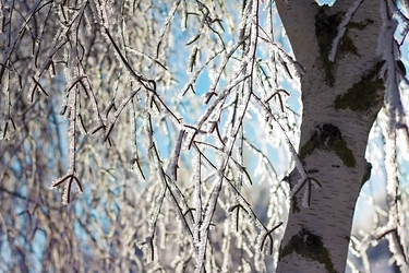 Similar image 21026107