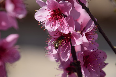 Similar image 21049108