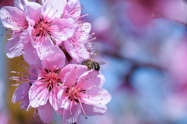 Similar image 21049112