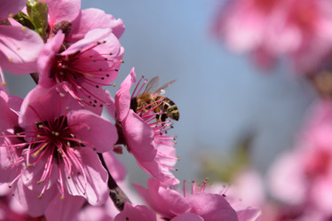 Similar image 21049113