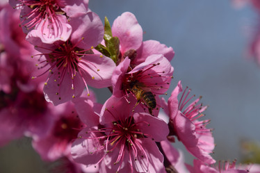 Similar image 21049114