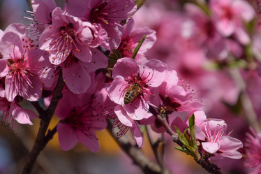 Similar image 21049117