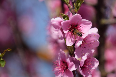 Similar image 21049118