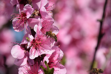 Similar image 21049122