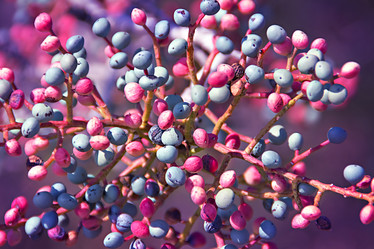 Similar image 21026293