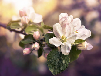 Similar image 21026316