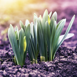 Similar image 21026335