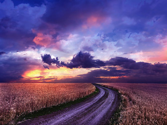 Similar image 21026413