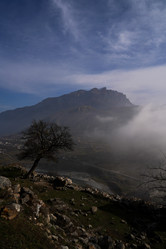 Similar image 21029550