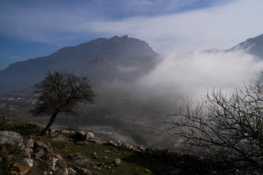 Similar image 21029554