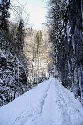 Similar image 21028748