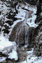 Similar image 21028751