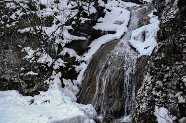 Similar image 21028753