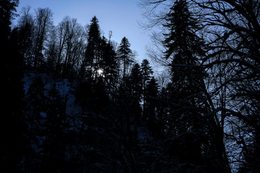 Similar image 21028758