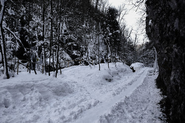 Similar image 21028759