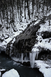 Similar image 21028761