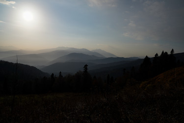 Similar image 21028768