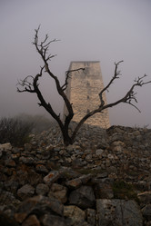 Similar image 21029583