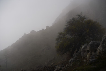 Similar image 21029591