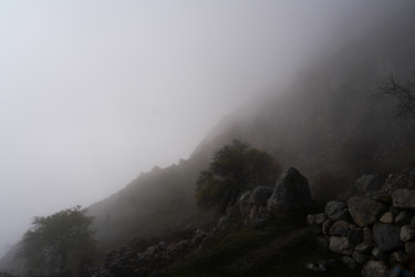 Similar image 21029592