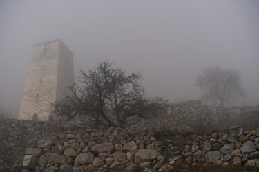 Similar image 21028779