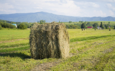 Similar image 21026645