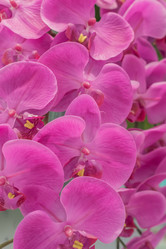 Similar image 21038643