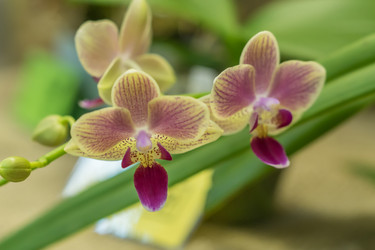 Similar image 21038645