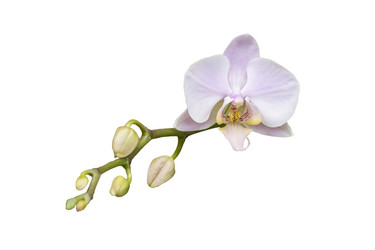 Similar image 21041310