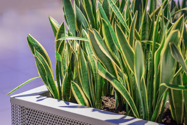 Similar image 21041311