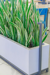 Similar image 21053485