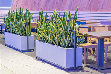 Similar image 21053488