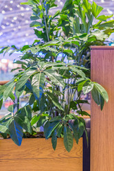 Similar image 21053494