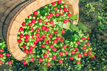 Similar image 21037638