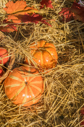 Similar image 21037659