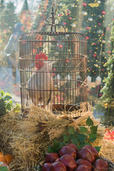 Similar image 21037889