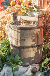 Similar image 21037890