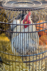 Similar image 21038067