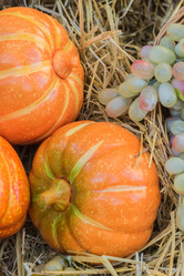 Similar image 21038068